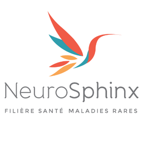 Neurosphinx