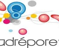 madrepore