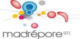 madrepore