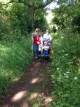 Promenons-nous dans les bois