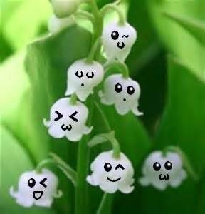 muguet