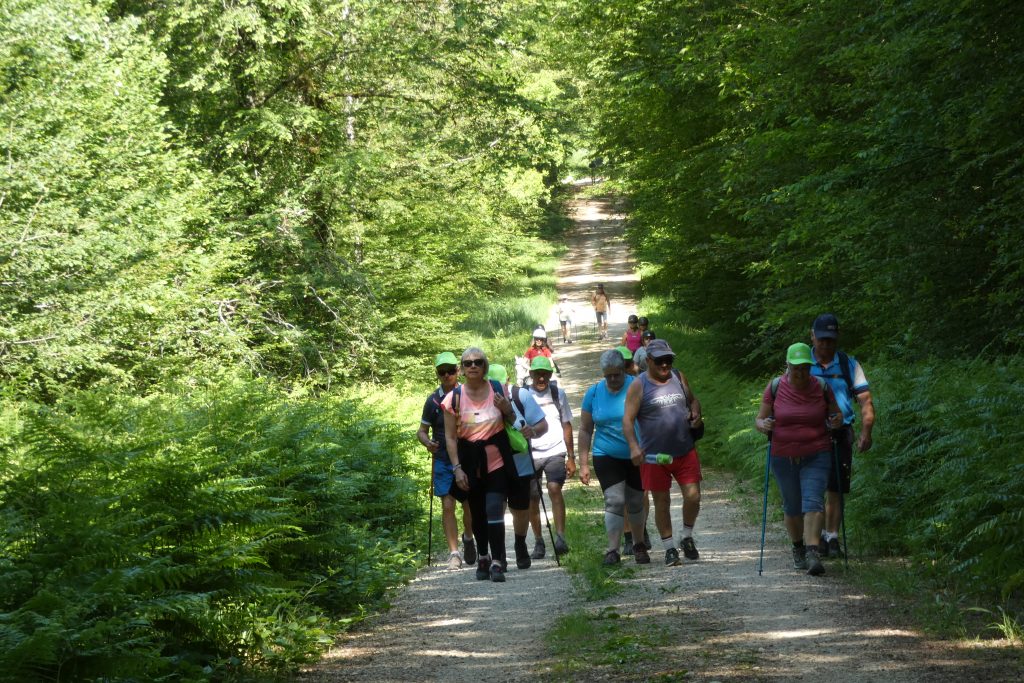 Balade solidaire Jura