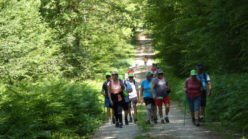 Balade solidaire Jura