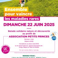 affiche_A3_Balade_Solidaire_2025_IDF_CERGY