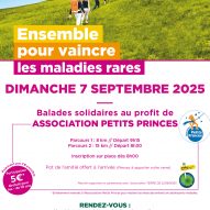 affiche_A3_Balade_Solidaire_2025_avallon_89