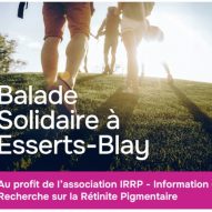 Capture d’écran 2026-03-26 145610