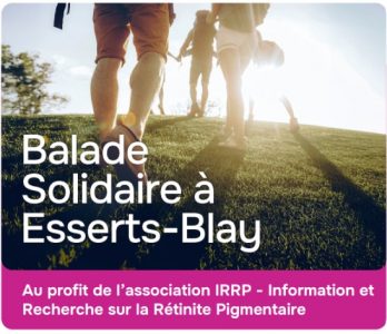 Capture d’écran 2026-03-26 145610