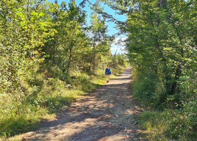 randonnee-nature-trelissac